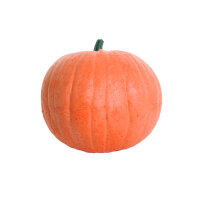 Calabaza IBB 3D