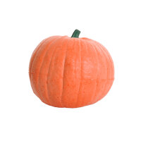 Calabaza IBB 3D