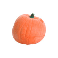 Calabaza IBB 3D