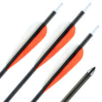 36-40 lbs | Flecha de carbono | GOLD TIP Warrior - con...