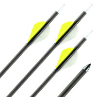 31-35 lbs | Flecha de carbono | GOLD TIP Warrior - con...