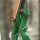 JACKALOPE - Malachite - 60 pulgadas - 30-60 lbs - Arco Recurvo o Híbrido Take Down