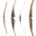 JACKALOPE - Tourmaline - 64 pulgadas - Arco híbrido - 25-50 lbs