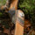JACKALOPE - Tourmaline - 62 pulgadas - Arco Recurvo Refinado Take Down - 20-50 lbs