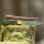 elTORO Cuerno de latón - Damasco - Cuchillo de caza - 12cm - incl. funda de cuero
