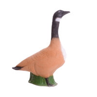 IBB 3D Kanadagans