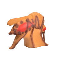 Mosquito IBB 3D