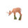 IBB 3D Roebuck - pastoreo