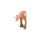 IBB 3D Roebuck - pastoreo