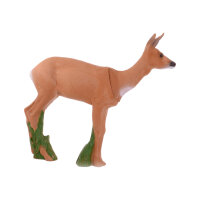 IBB 3D doe