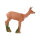IBB 3D doe