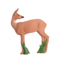 IBB 3D doe - mirando hacia atrás