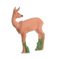 IBB 3D doe - mirando hacia atrás