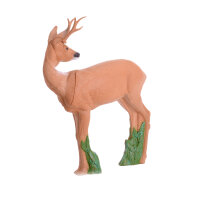 IBB 3D roebuck - echando la vista atrás