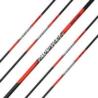 Tubos | BLACK EAGLE Carnivore .003 - Carbono - incl....