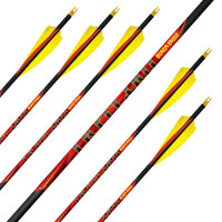 Flecha Completa | BLACK EAGLE Outlaw .005 - Carbono -...