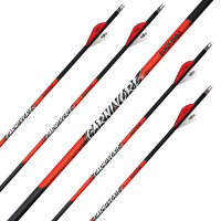 Flecha Completa | BLACK EAGLE Carnivore .001 - Carbono