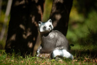 Mapache 3D CENTER-POINT - Fabricado en Alemania