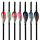 GAS PRO Rick van der Ven Signature Series - 2 pulgadas - Paletas - Paquete de 50