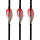 GAS PRO Rick van der Ven Signature Series - 2 pulgadas - Paletas - Paquete de 50