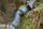 JACKALOPE - Moonstone - 60 pulgadas - 30-60 lbs - Arco Recurvo o Híbrido Take Down
