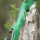 Cuerpo | JACKALOPE - Malachite - 19 pulgadas - ILF