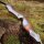 JACKALOPE - Onyx - 62-68 Zoll - 20-60 lbs - Take Down Recurvebogen