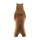 IBB 3D Pequeño oso pardo