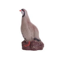 IBB 3D Perdiz de roca - Gallo