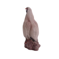 IBB 3D Perdiz de roca - Gallo