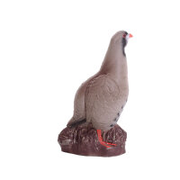 IBB 3D Perdiz de roca - Gallo