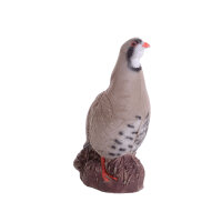 IBB 3D Perdiz de roca - Gallo