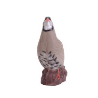 IBB 3D Perdiz de roca - Gallo