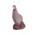 IBB 3D Perdiz de roca - Gallo