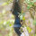 Cuerpo | DRAKE ARCHERY ELITE Nightfall - 17 pulgadas - ILF