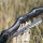 DRAKE ARCHERY ELITE Pitchblack - ILF - 58-62 pulgadas - 24-62 lbs - Arco Recurvo