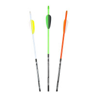 Komplettpfeil | BEARPAW Penthalon Bandit Flash - Carbon -...