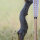 DRAKE ARCHERY ELITE Dust - 60 pulgadas - 30-60 lbs - Arco Recurvo