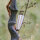 DRAKE ARCHERY ELITE Dust - 60 pulgadas - 30-60 lbs - Arco Recurvo