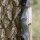 DRAKE ARCHERY ELITE Dust - 60 pulgadas - 30-60 lbs - Arco Recurvo