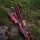 JACKALOPE - Red Beryl Hunter - 60 Zoll - 20-50 lbs - Take Down Recurvebogen