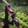 JACKALOPE - Red Beryl Hunter - 60 Zoll - 20-50 lbs - Take Down Recurvebogen