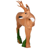 IBB 3D roebuck - mirando a la derecha