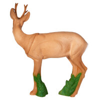 IBB 3D roebuck - mirando a la derecha