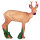 IBB 3D roebuck - mirando a la derecha