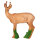IBB 3D roebuck - mirando a la derecha