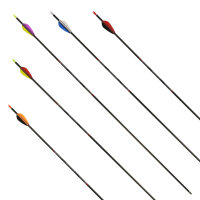 Flecha completa | AVALON Tyro - Carbono - Plumas ex...