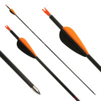 Flecha completa | AVALON Tyro - Carbono - Plumas ex fábrica