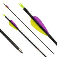 Flecha completa | AVALON Tyro - Carbono - Plumas ex fábrica