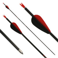 Flecha completa | AVALON Tyro - Carbono - Plumas ex fábrica